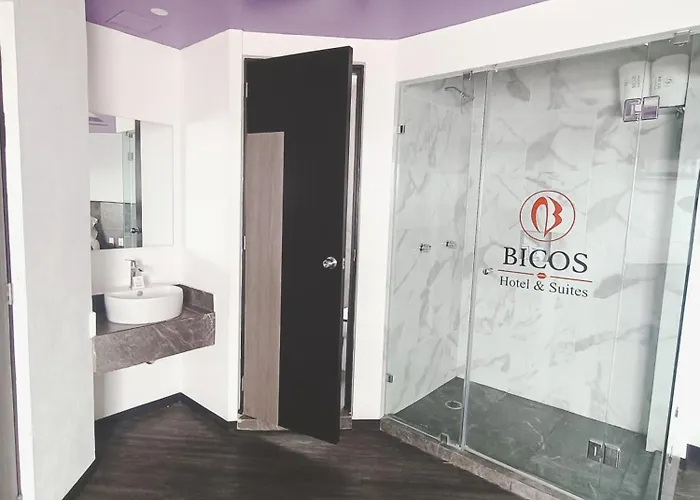 Hotel Bicos